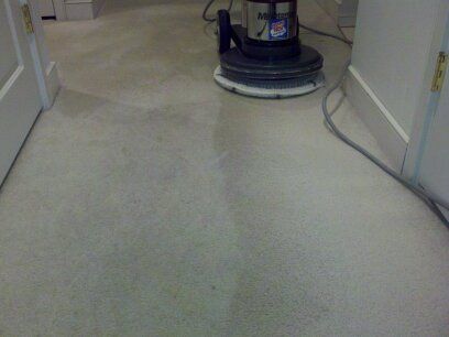 Notice the area cleaned next to the dirty carpet!