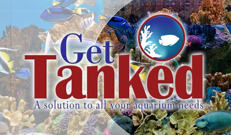 Get Tanked Aquariums LLC