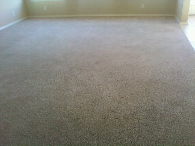 clean carpet