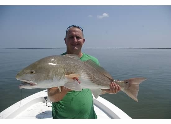 Big Redfish