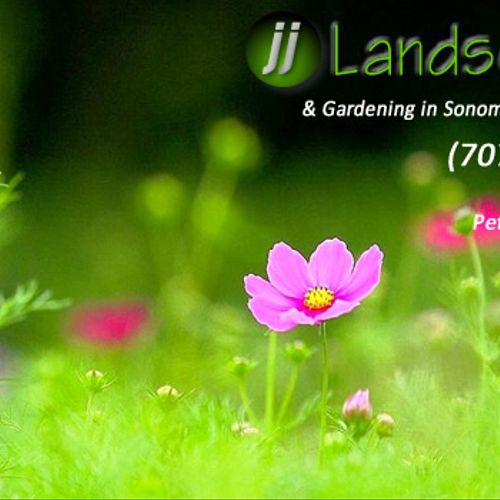 JJ Gardening Services in Marin & Sonoma Counties