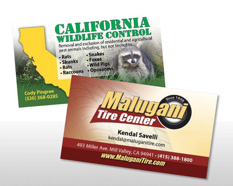 Business Cards