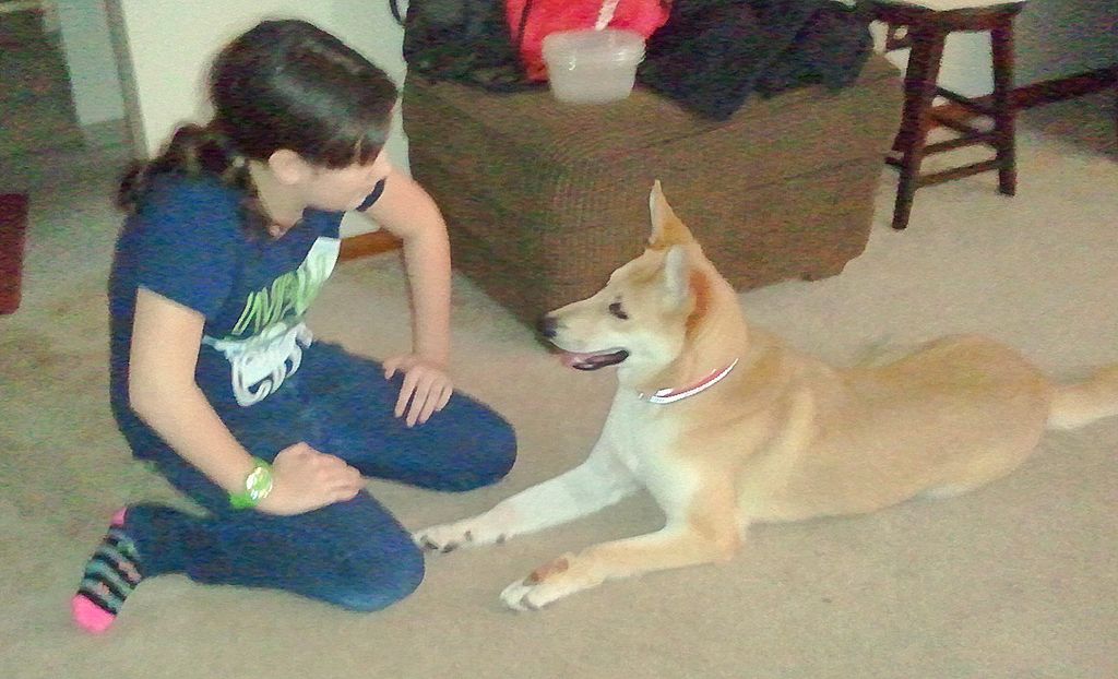 Winnie and her girl doing a "leave it and wait" wh