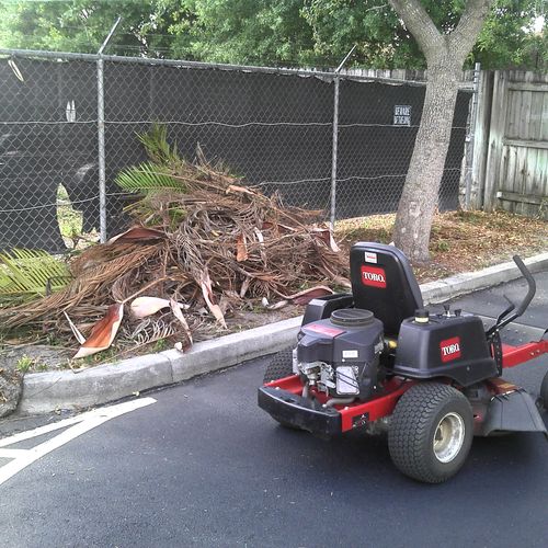 The Toro with some branches from a commercial prop