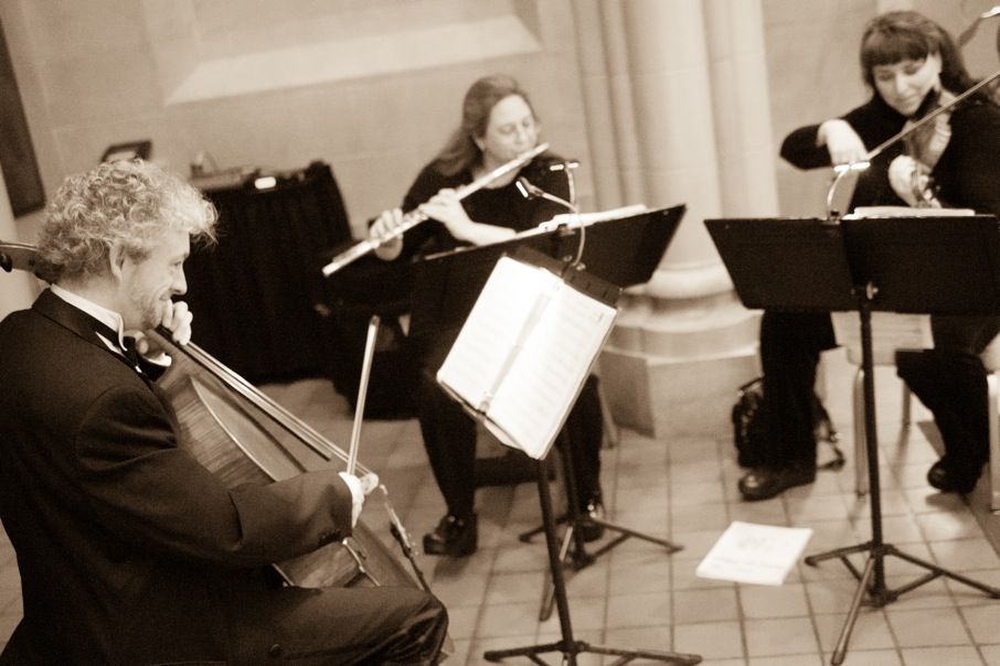 The Antares Musicians - Flute and Strings Trio per