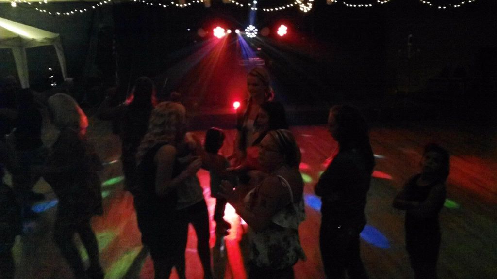 Keep the dance floor going! This DJ takes requests