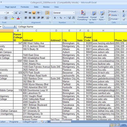 Data entry using excel for college records