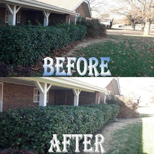 Front Shrub Line Fall Cleanup:
Before and After
