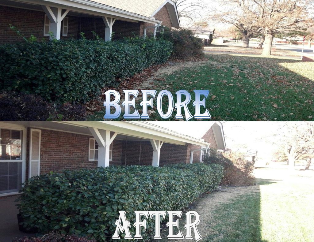 Front Shrub Line Fall Cleanup:
Before and After