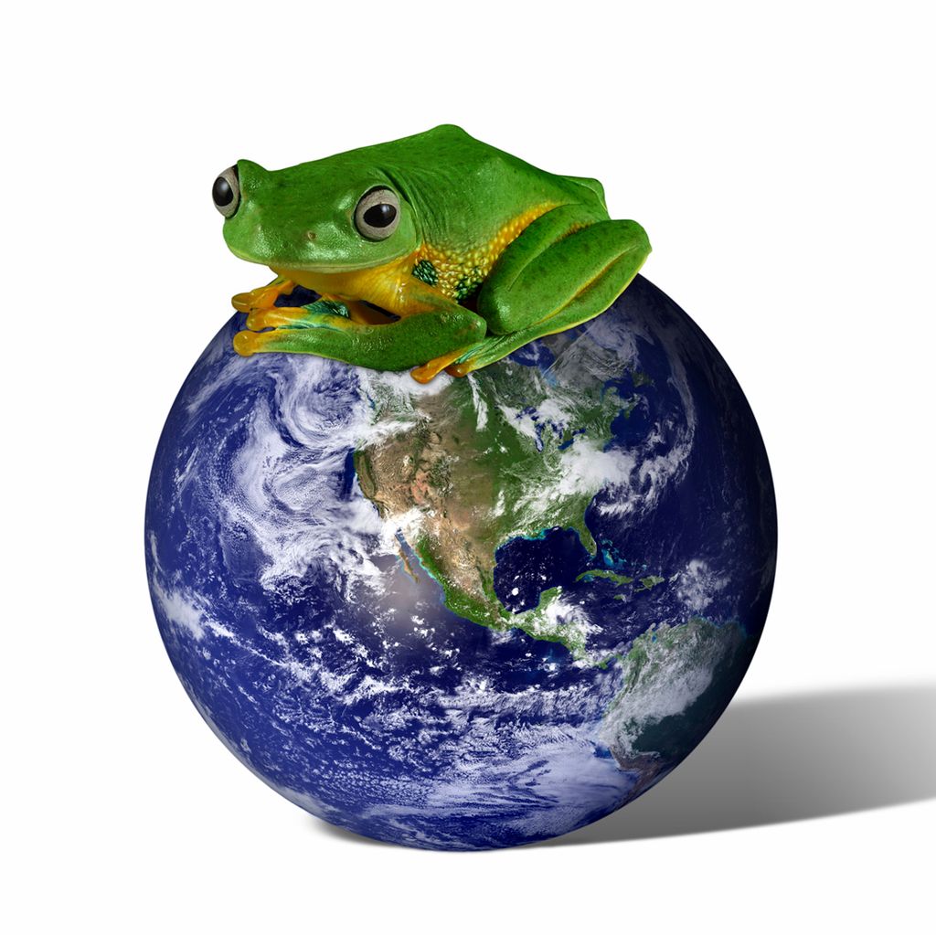 Blue Planet Pest Control Logo