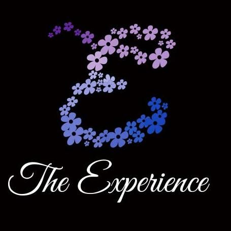 The Experience, LLC
