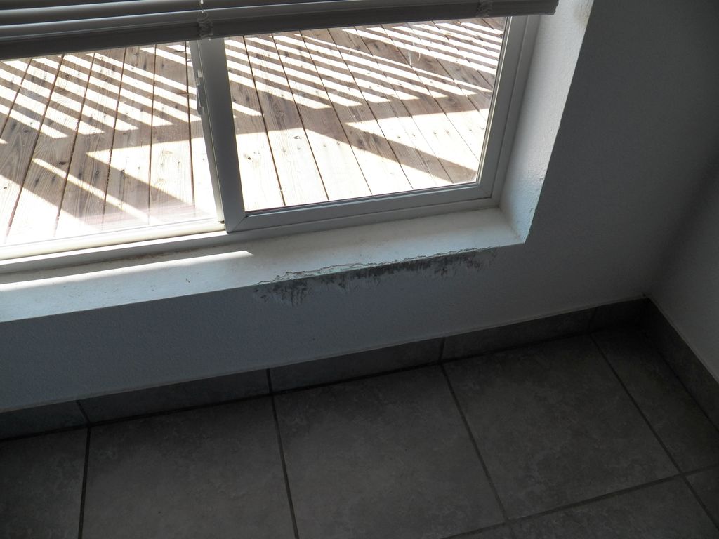 Before Repair