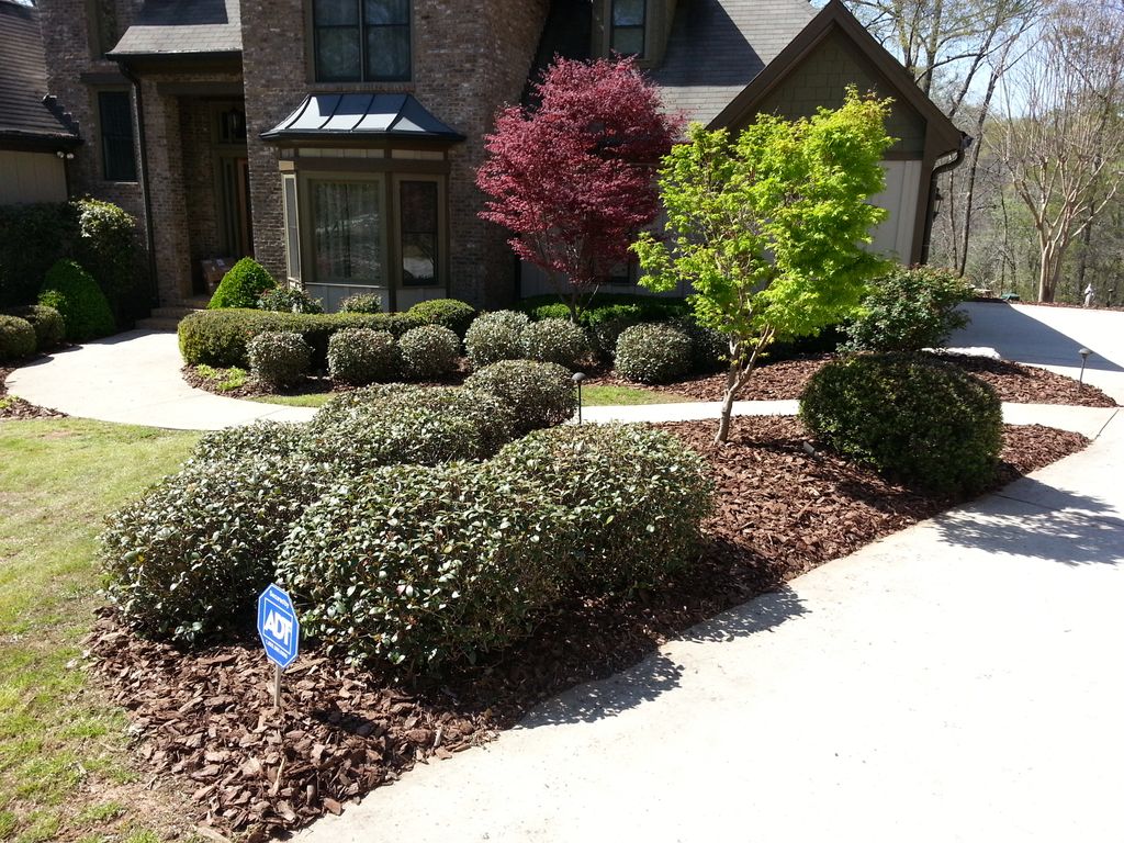 New Mulch in Shrub Beds