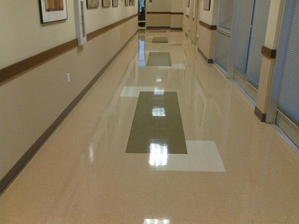 Love The Shine!