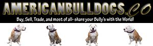 Logo for one of my personal blogs, americanbulldog