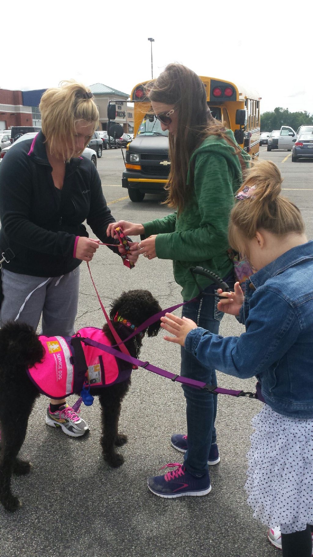 Autism Assistance Dog, Lilly, preparing to go out 