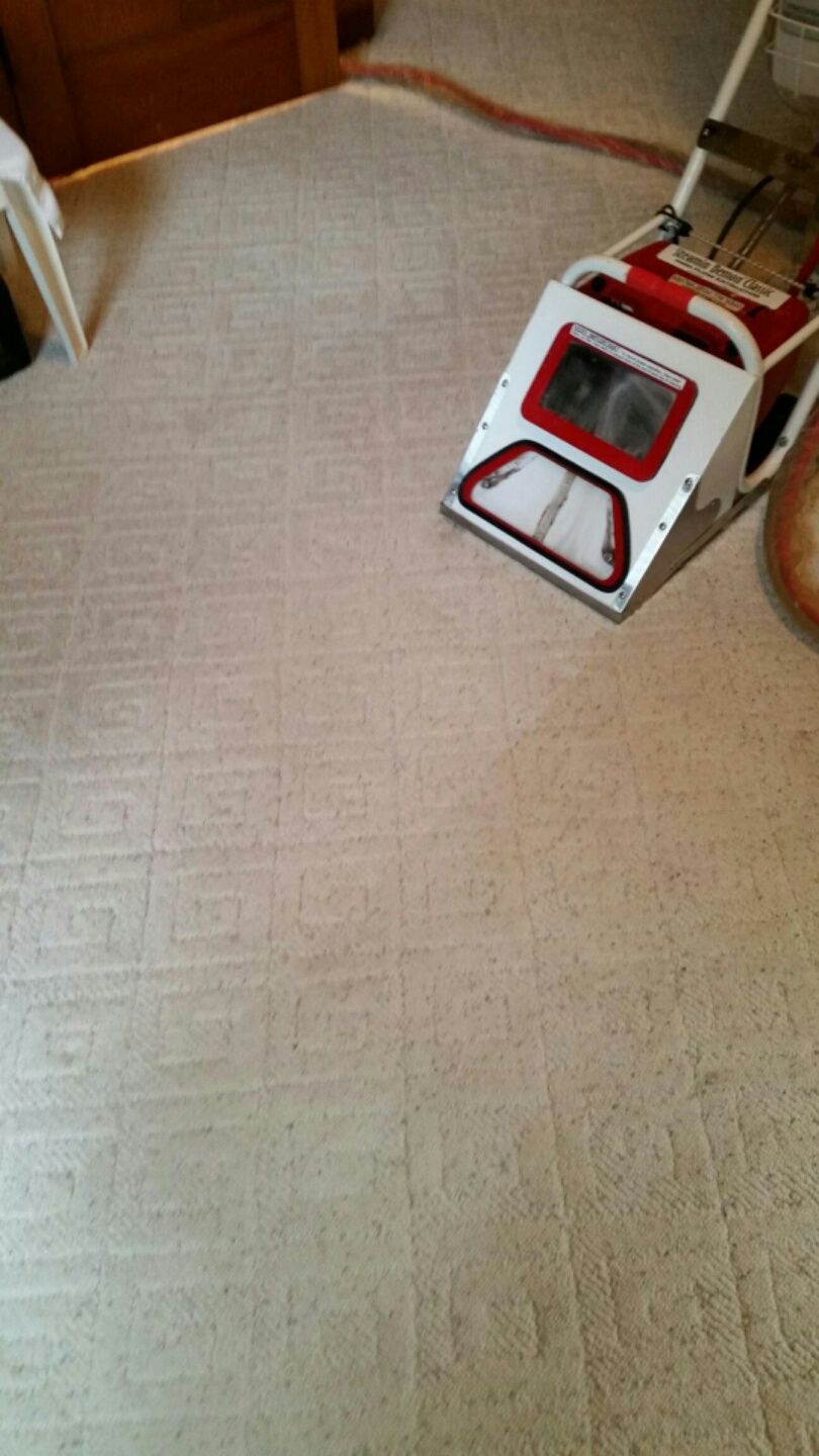Carpet cleaning in process. Notice the difference?