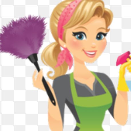 Swift&Tidy Cleaning Services