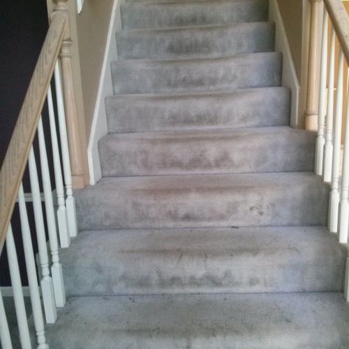 carpet stairs before installing wood treads