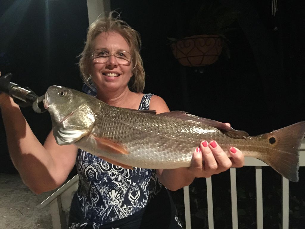 Tampa bay Redfish