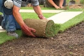 sod installation.