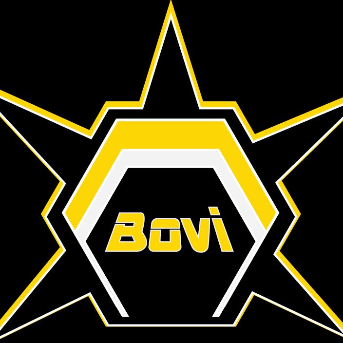 BOVI Consultancy Services- Business Technology ...