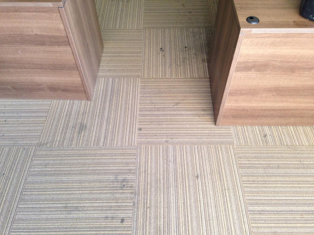 All-natural carpet cleaning / Before