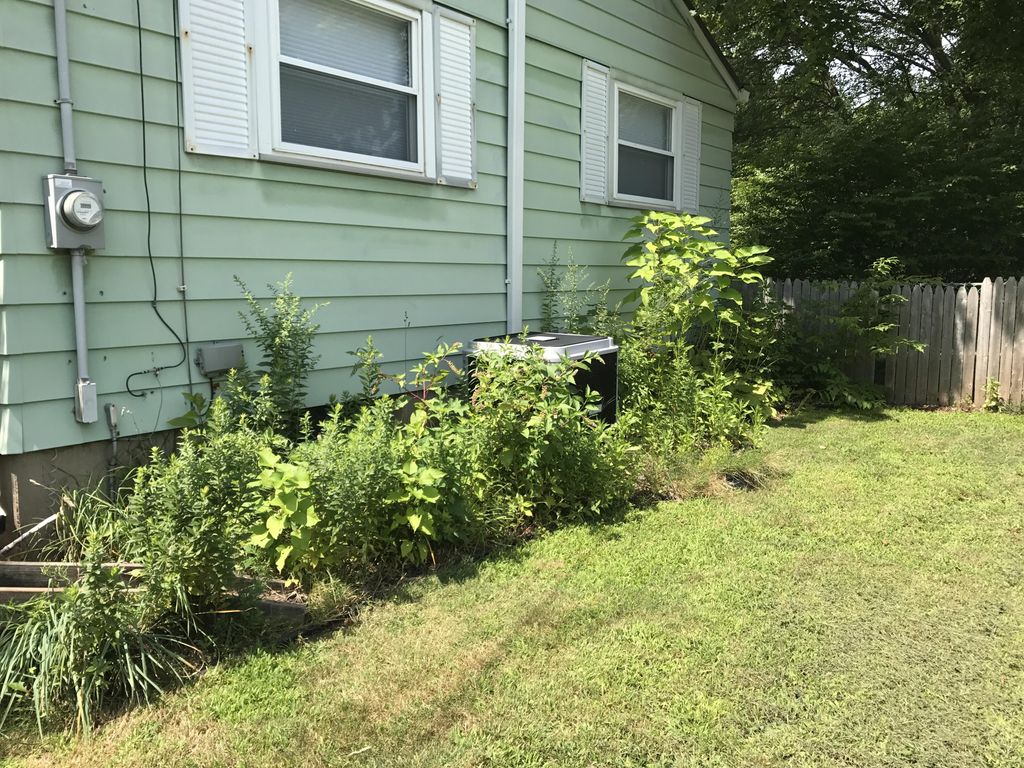 Flower bed clean out before