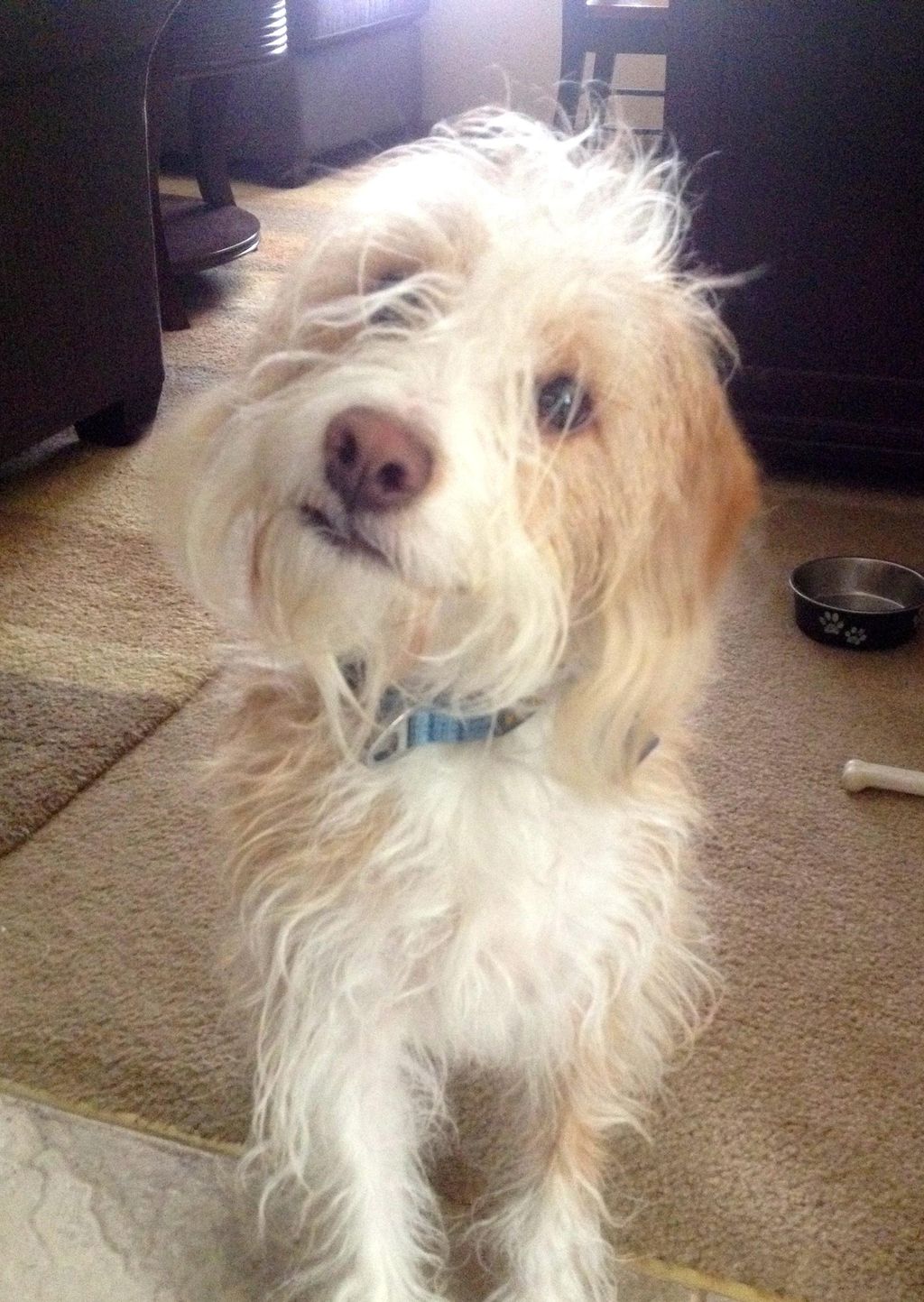 Is that cookie for me?