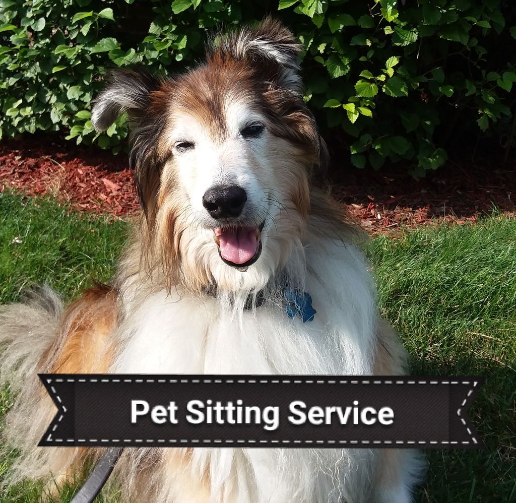 Pets First Choice Sitters