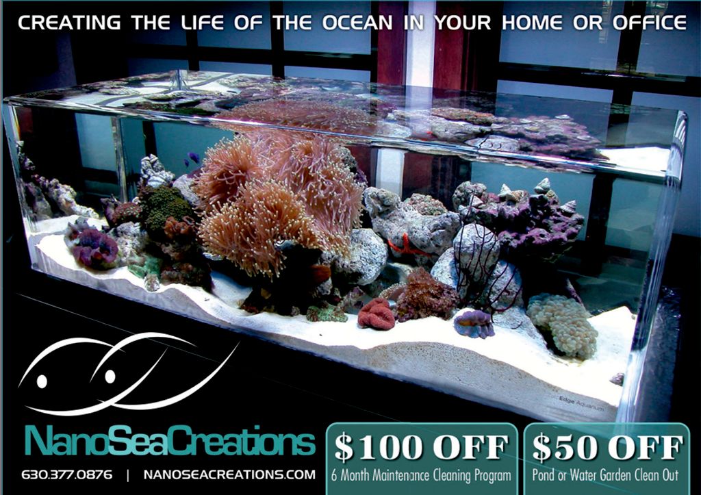 Nano Sea Creations, Inc.