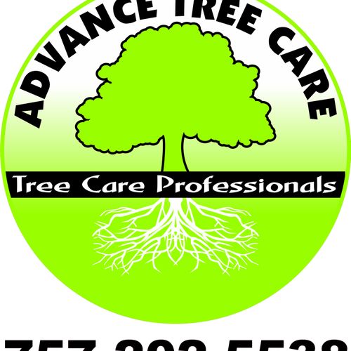 Professional Tree Care Serving all of Hampton Road