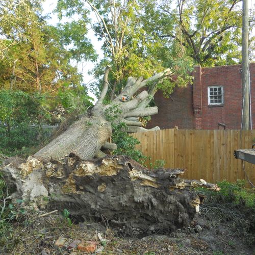 Removing a 47 Oak tree that fell on a garage in Ra