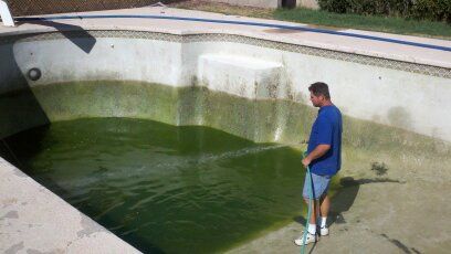 Cleaning a very green pool