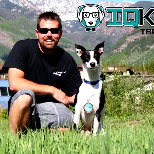 IQ K9 Training.  We train all breeds of dogs!