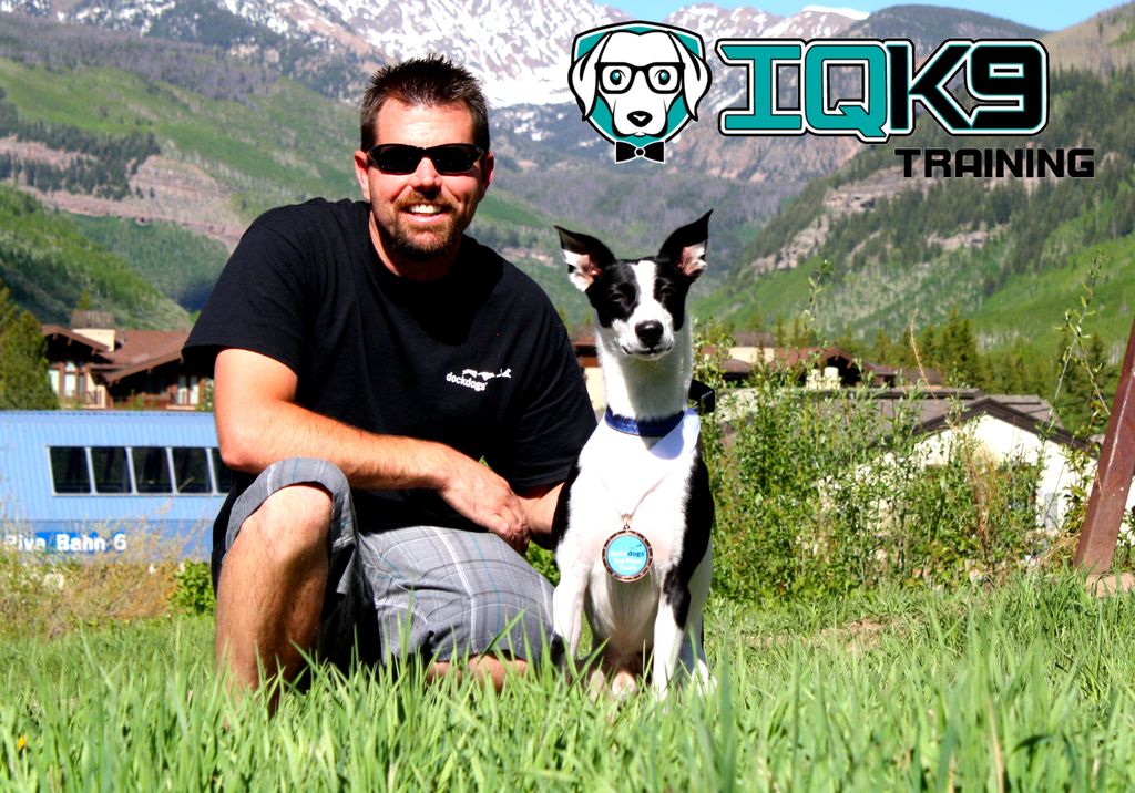 IQ K9 Training.  We train all breeds of dogs!