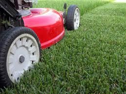 We would love to mow your lawn!