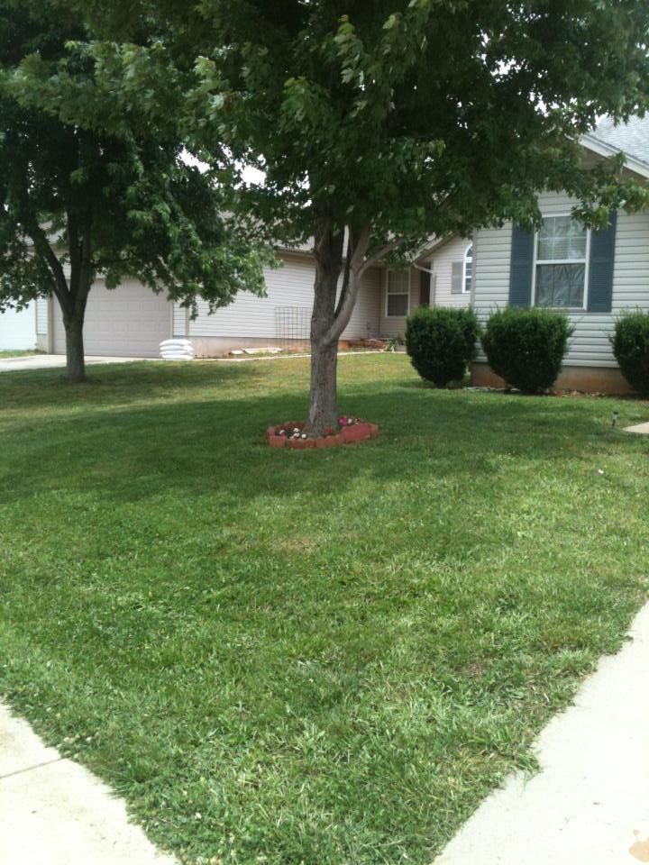 Small Yards