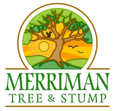 Merriman Tree & Stump