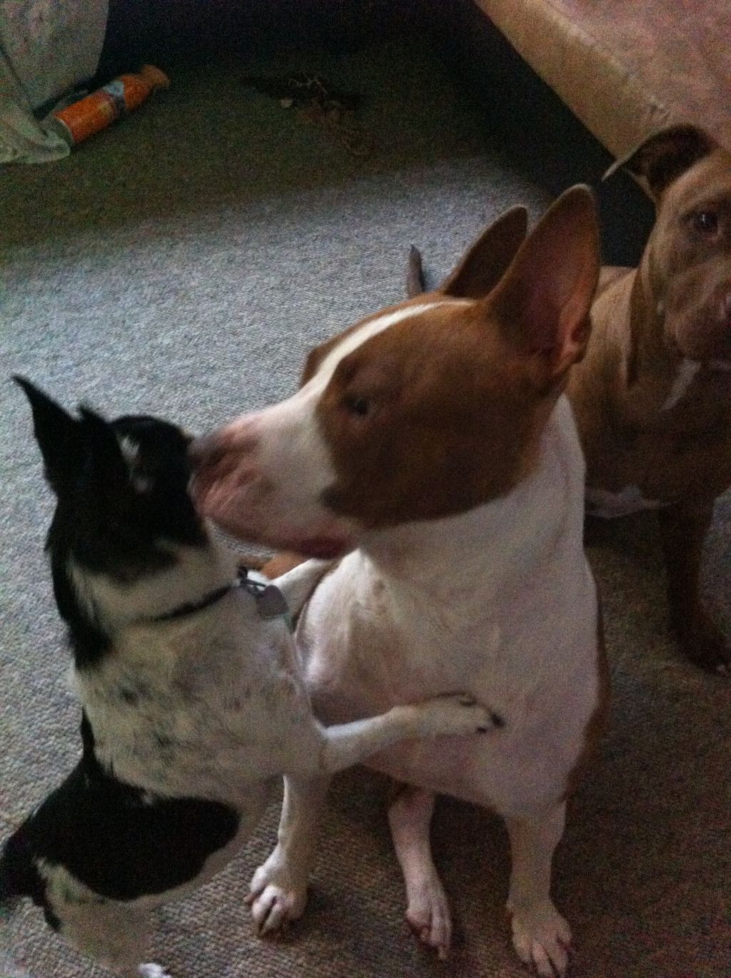 Big or small we all get along and feel safe and se