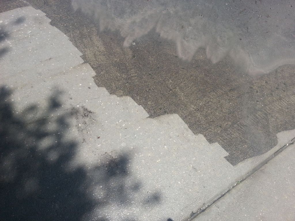Blackened Driveways are common in Florida but a ni