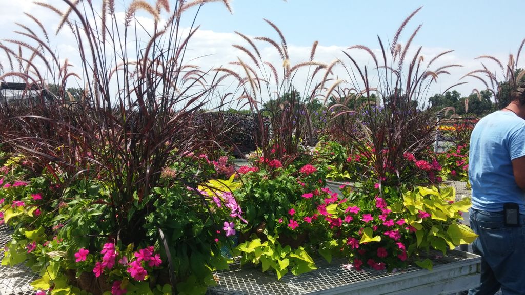 Designer Baskets made for Busch Gardens