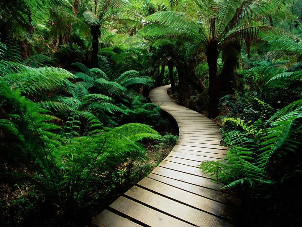 Becoming healthy is a journey in understanding you