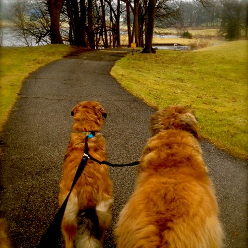 We love long walks in all kinds of weather!