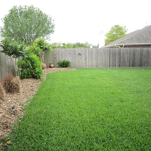 Make your lawn fresh and clean? We do that!