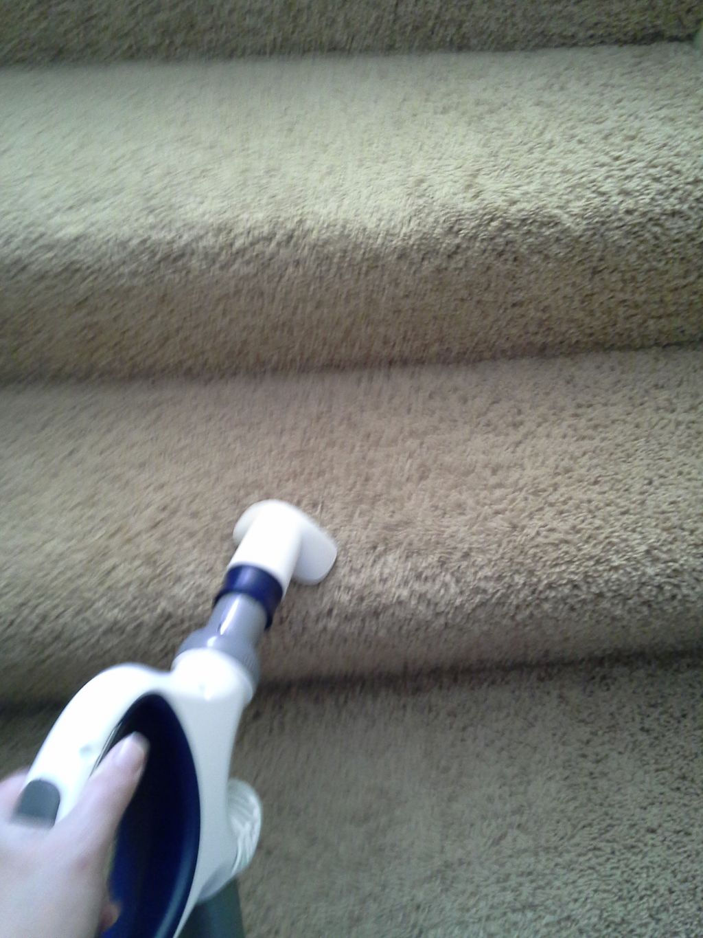 We always Vacuum the Stairs!