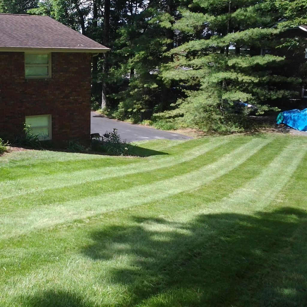 Tims affordable lawn care