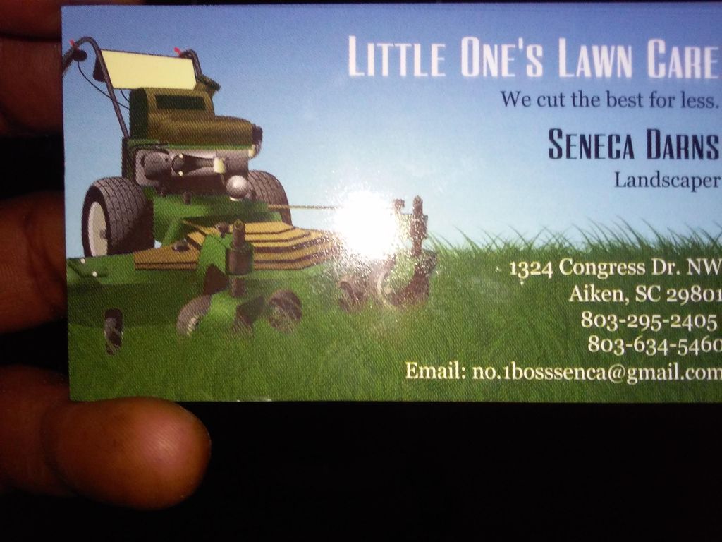 Lil Ones Lawn Care
