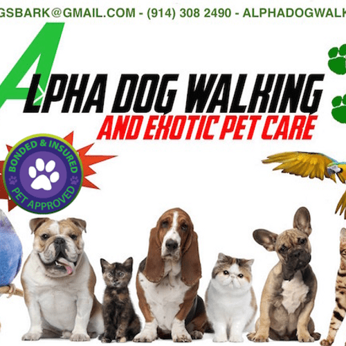 ALPHA Dog Walking and Exotic Pet Care
1 (914) 308 