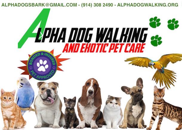 ALPHA Dog Walking and Exotic Pet Care
1 (914) 308 